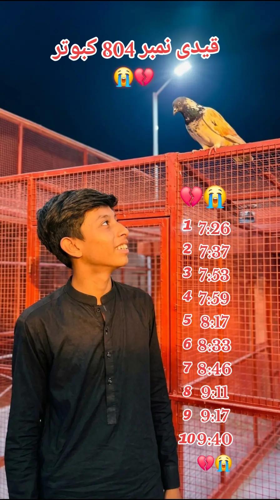 @🕊️ ملک دانیال 4❤️
