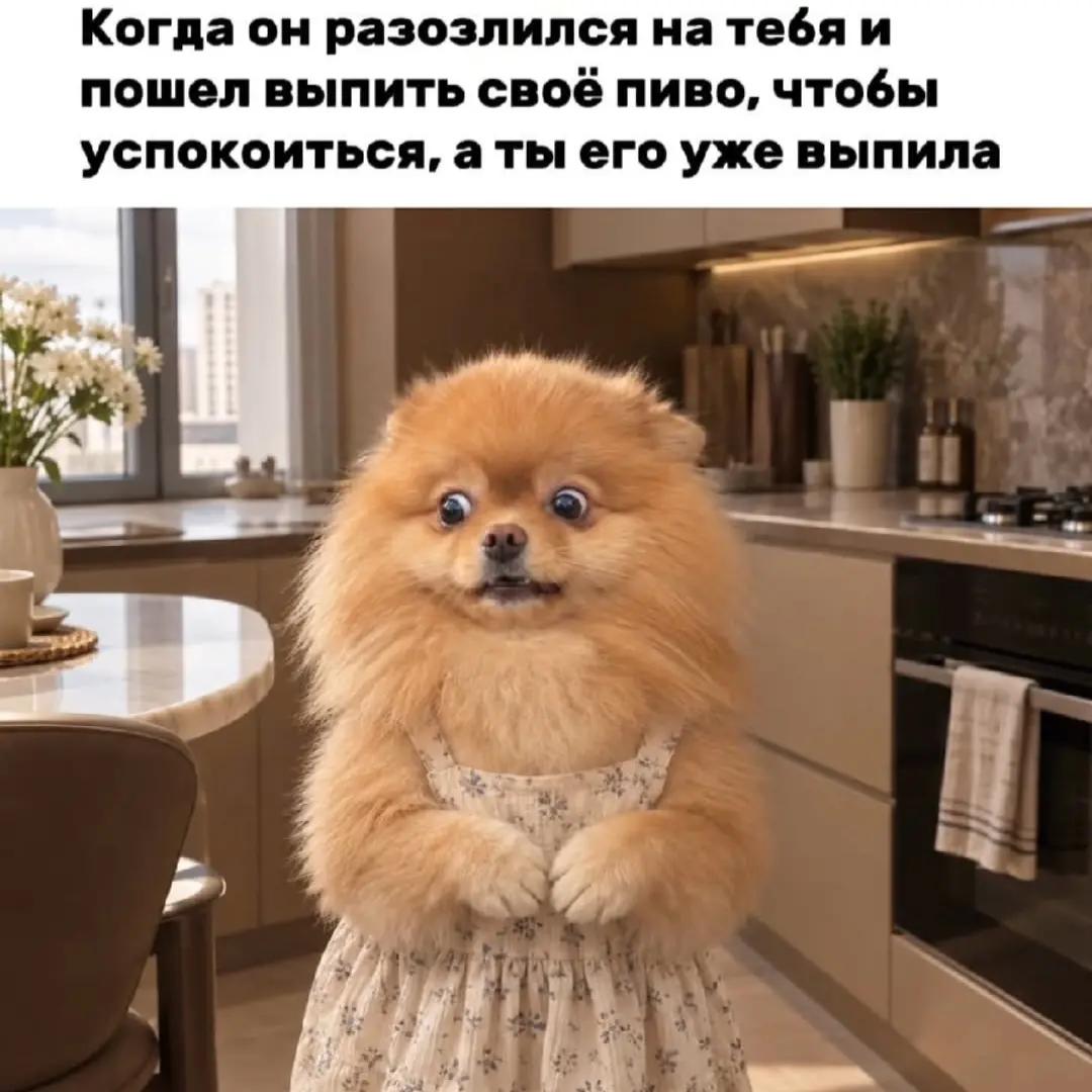 @любительница Audi ❤️