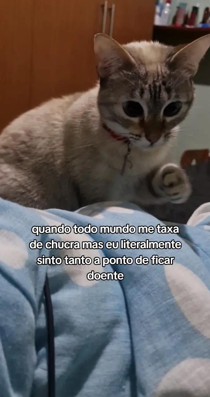 @vic