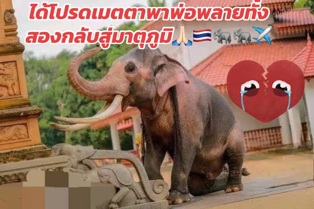 @Animal lover🫶💕