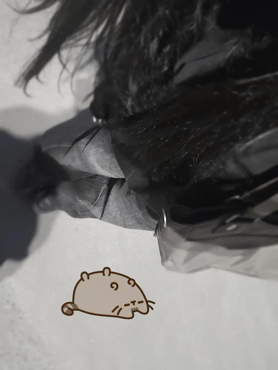 @૮꒰◞ ˕ ◟ ྀི꒱ა