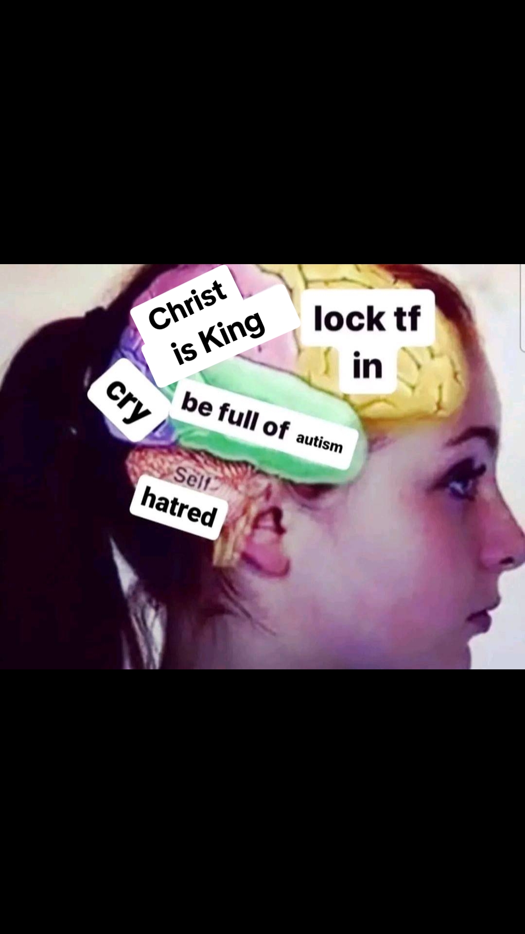 @Cuckules