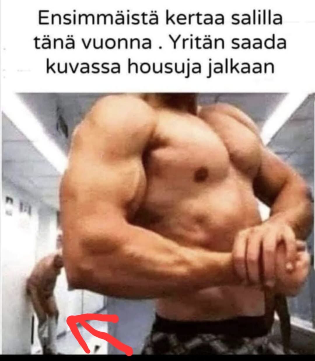 @majatar