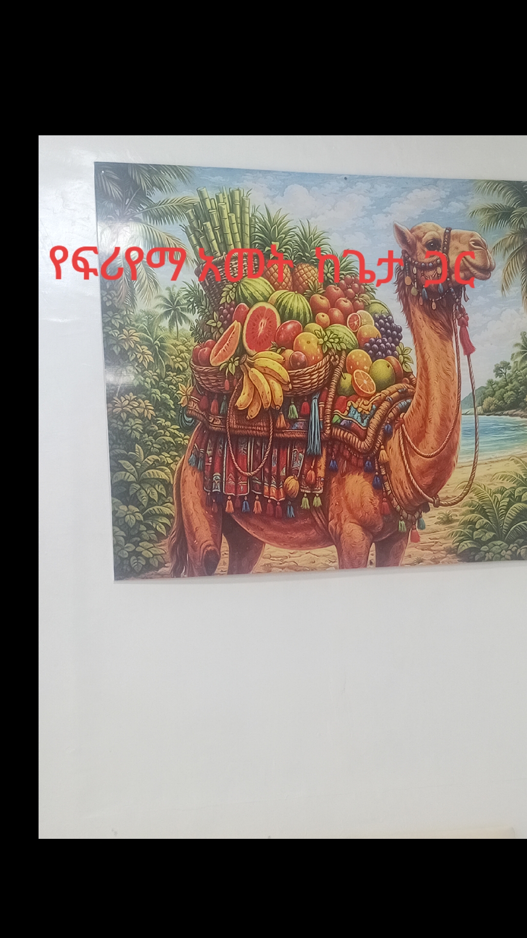 @seade ziyad