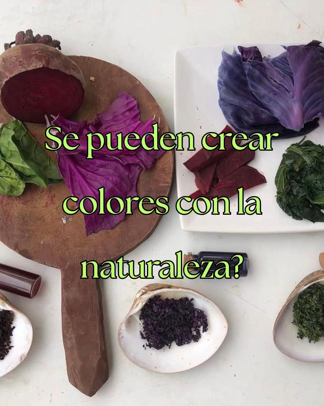 @Corazon del Bosque