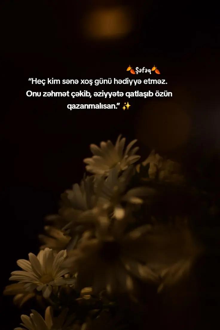 @🍂Shafaq🍂