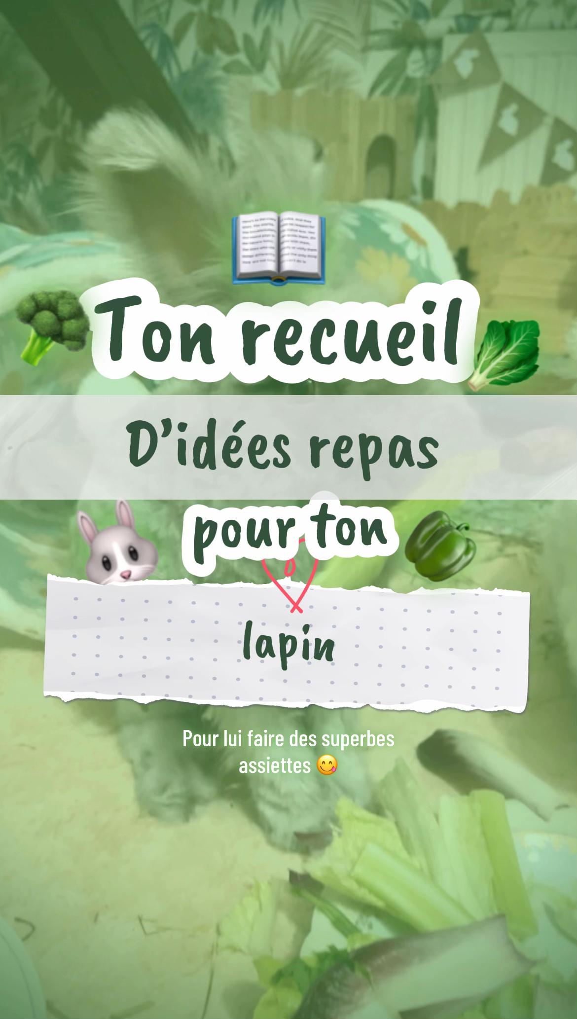 @Mes lapinouchs 🐰