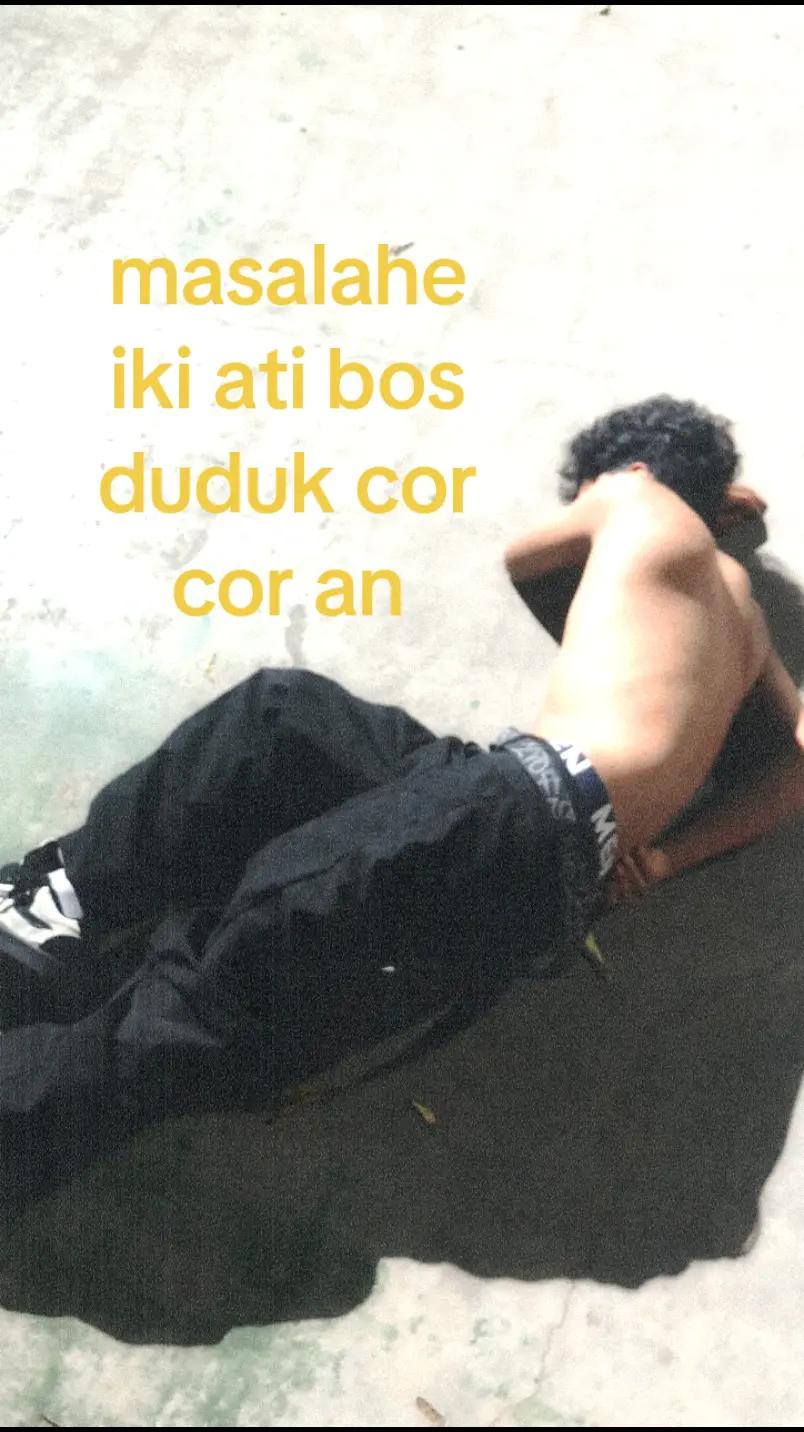 @sogol