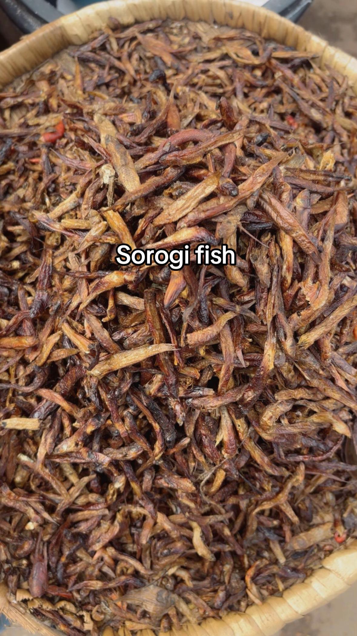 @Ajoke🦞omoge elede