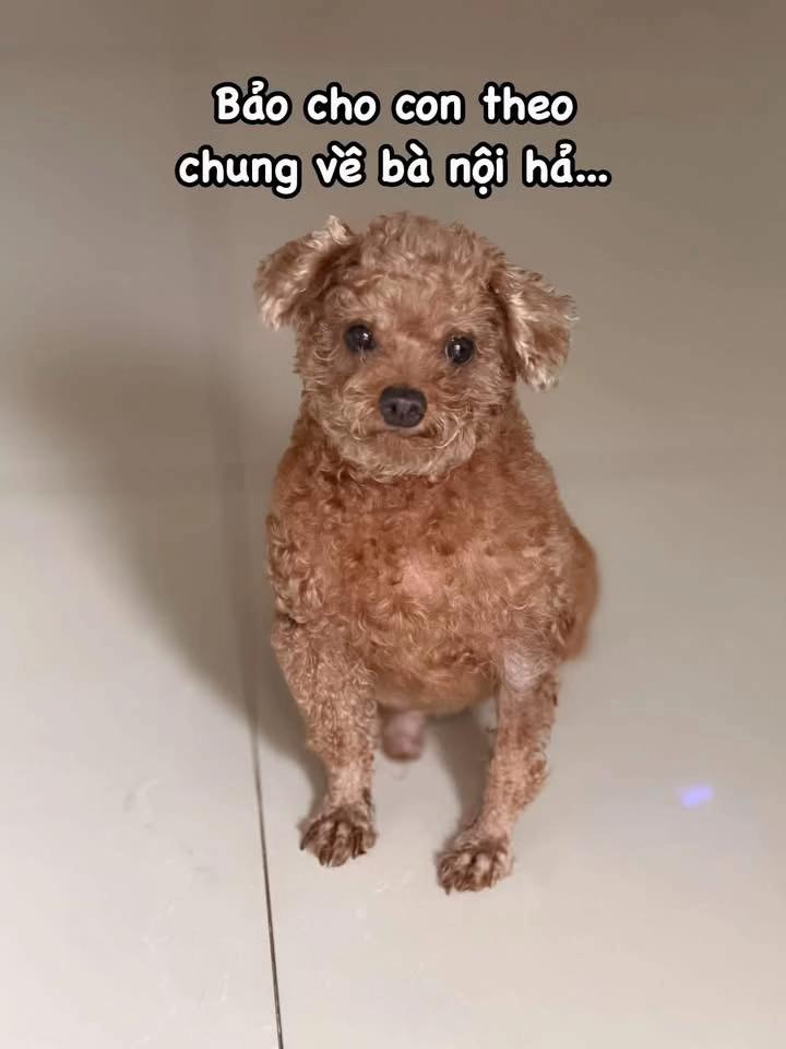 @Cái phòng nhỏ xíu