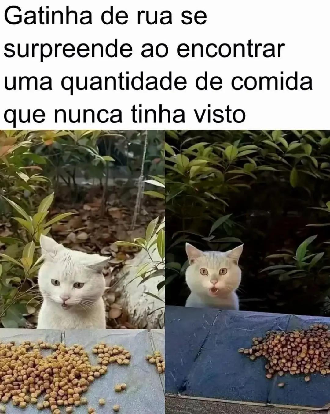@Caiu na Mídia