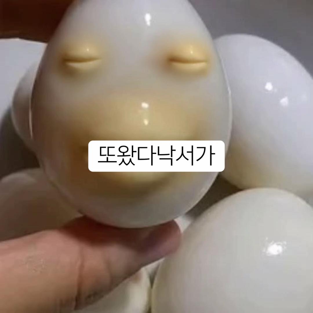 @도둑자