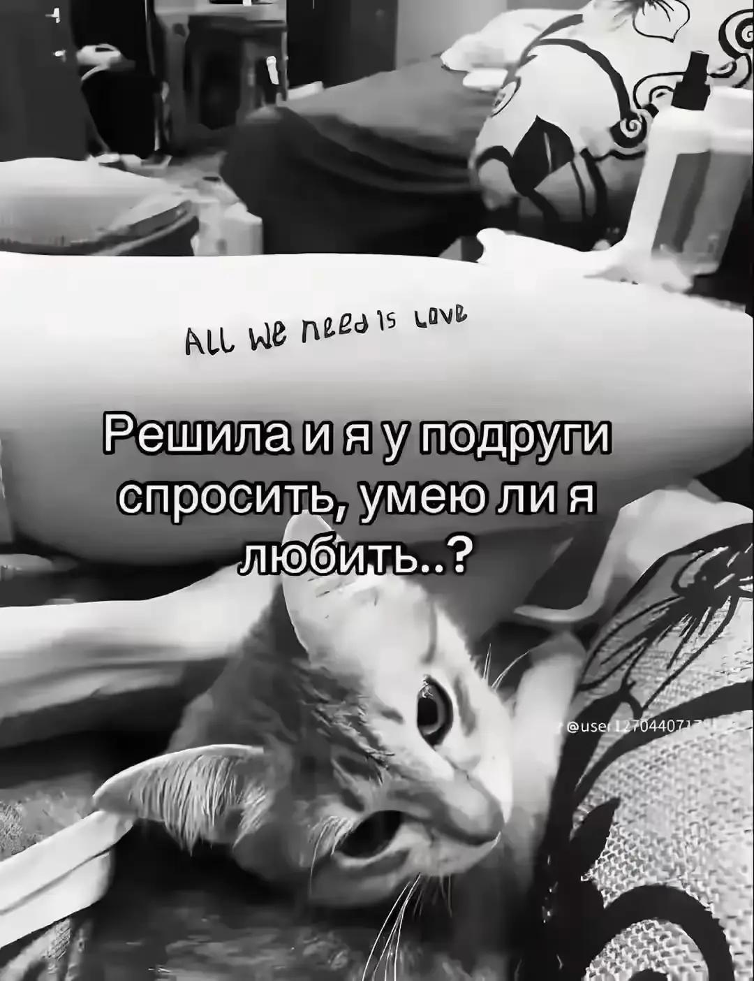 @🦋