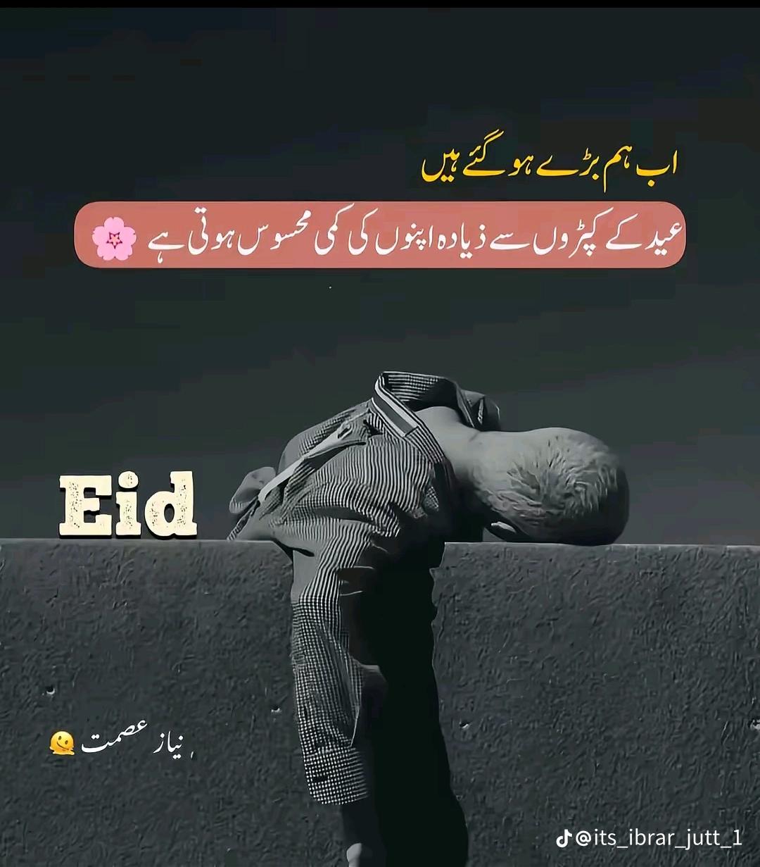 @Muna Arslan