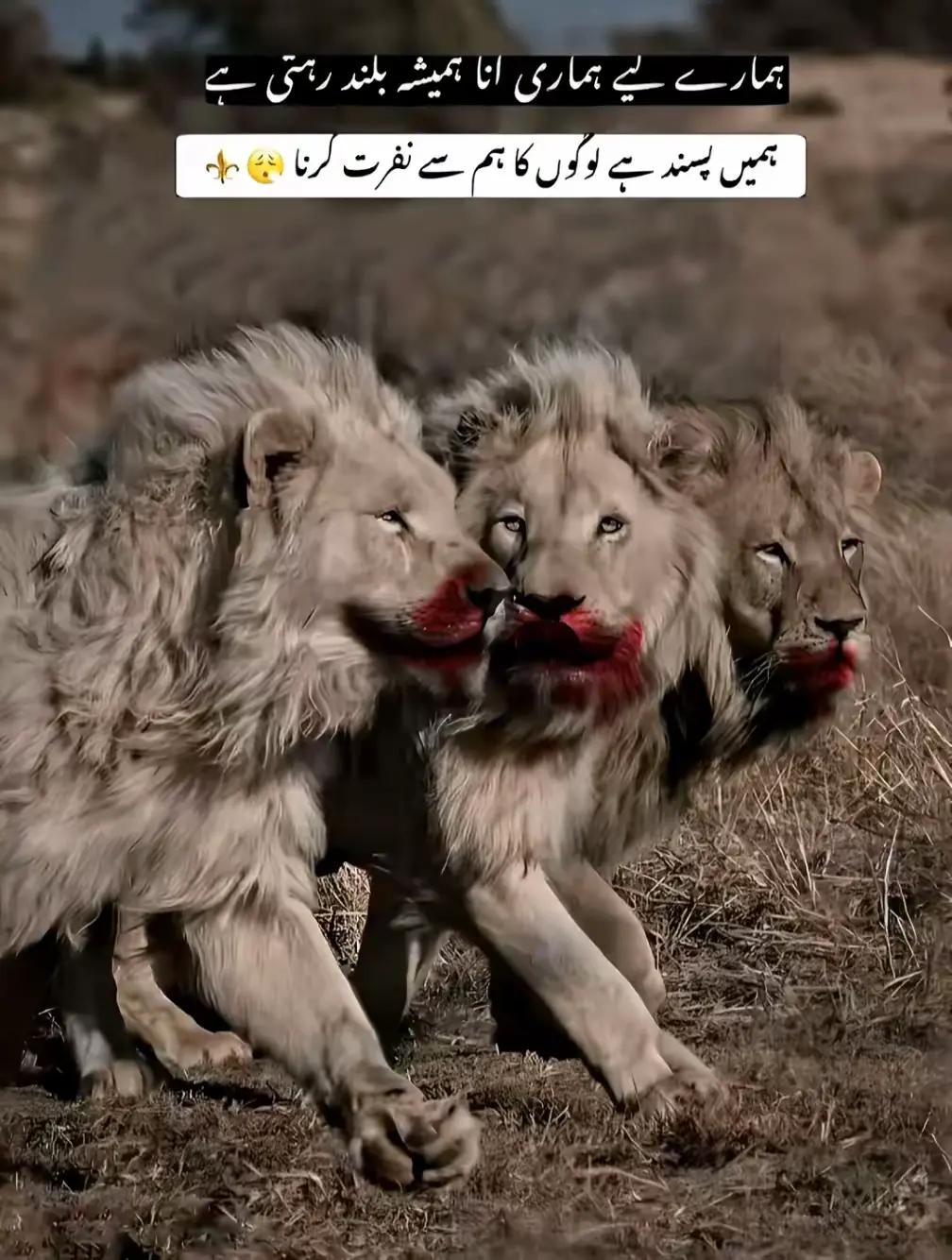 @broken ♥️Baba