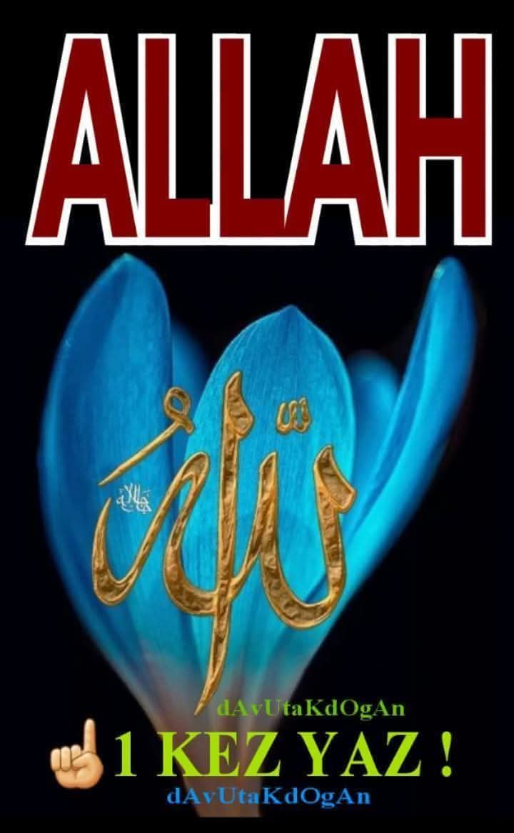 @şeenol Albayrak