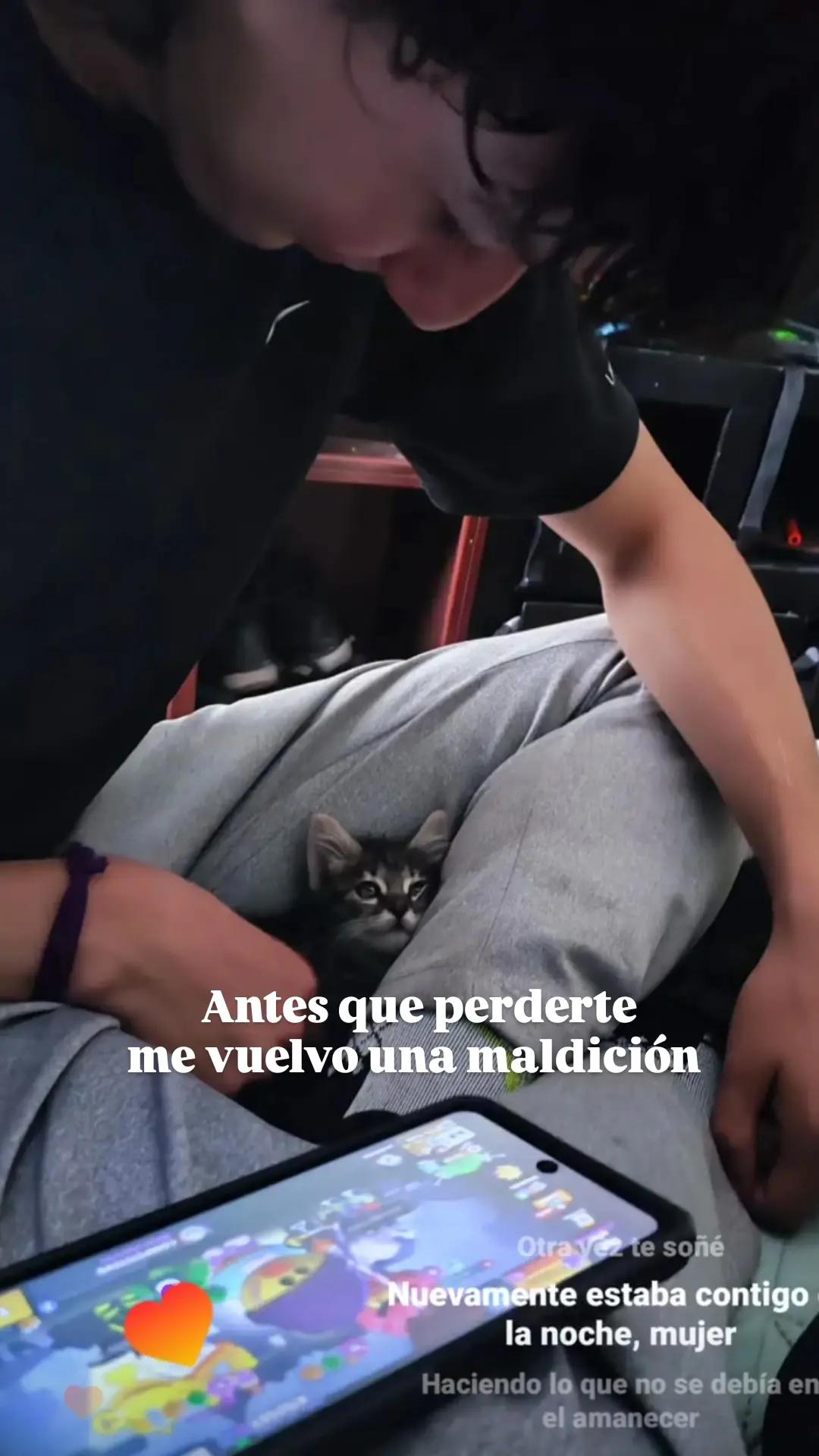 @Rocket Ortiz