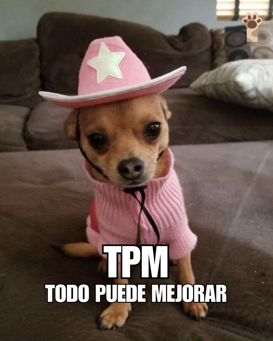 @Petlife