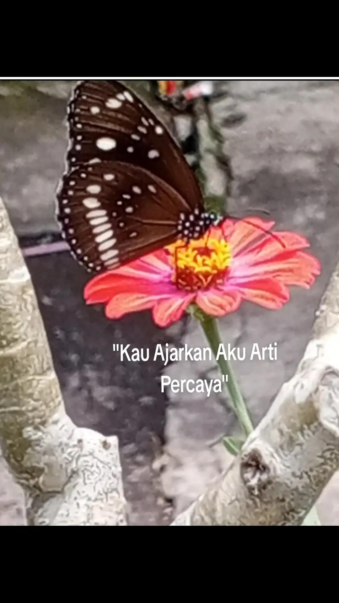 @Dyah Retnaningrum