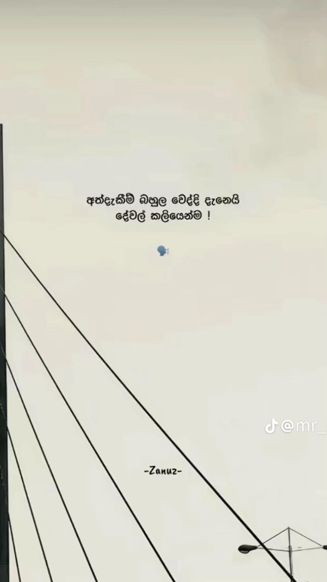 @D!l 🦋