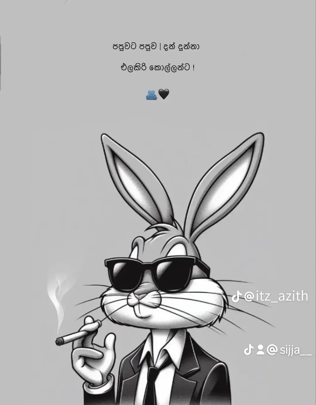 @Sithija
