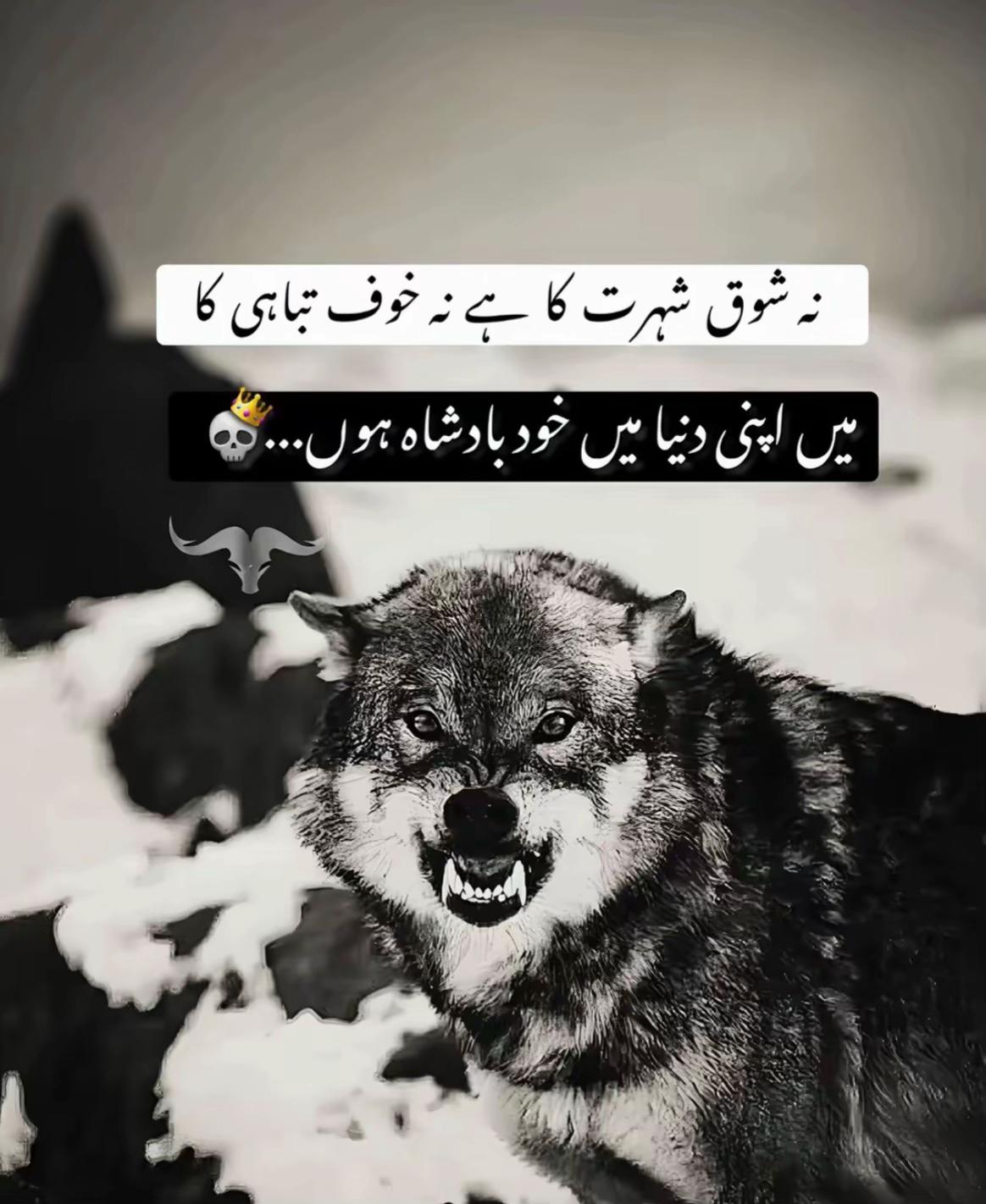 @زین راجا سجاول کا🦅