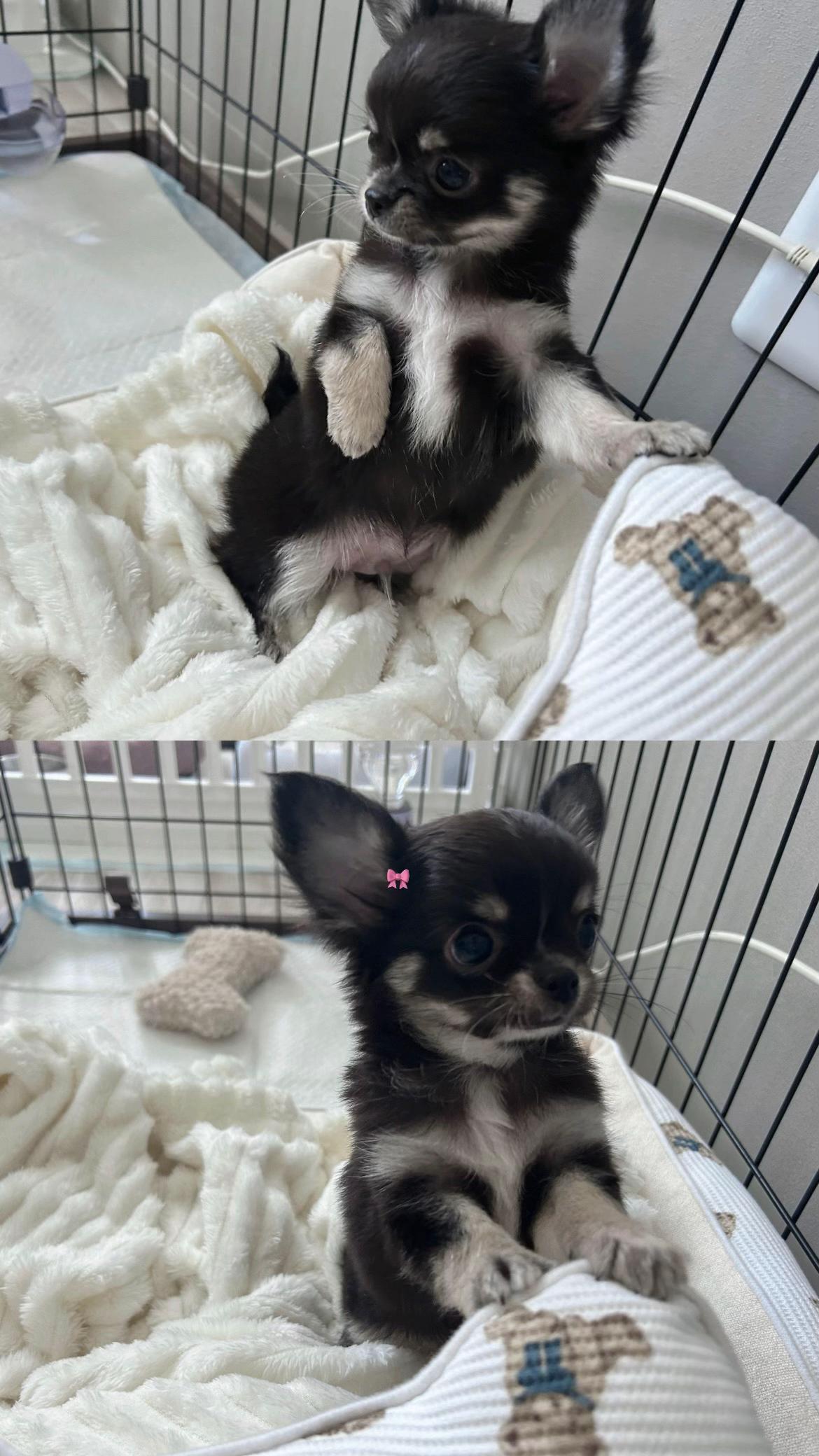 @ใใใพใ๐