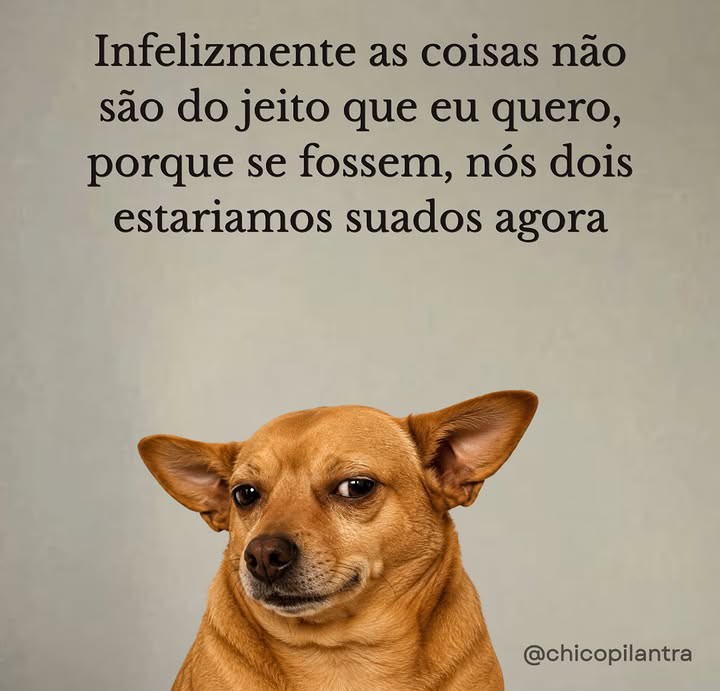 @MARCOS 🤑