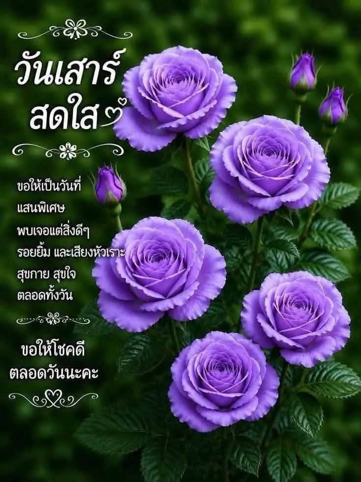 @user89pdfp66wc