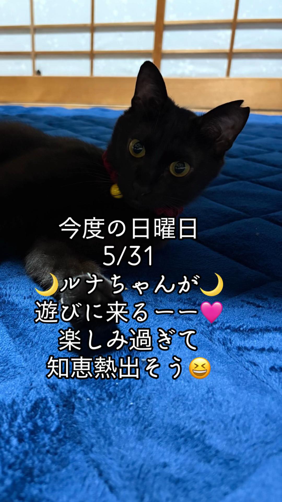 @ブルースカイの倫