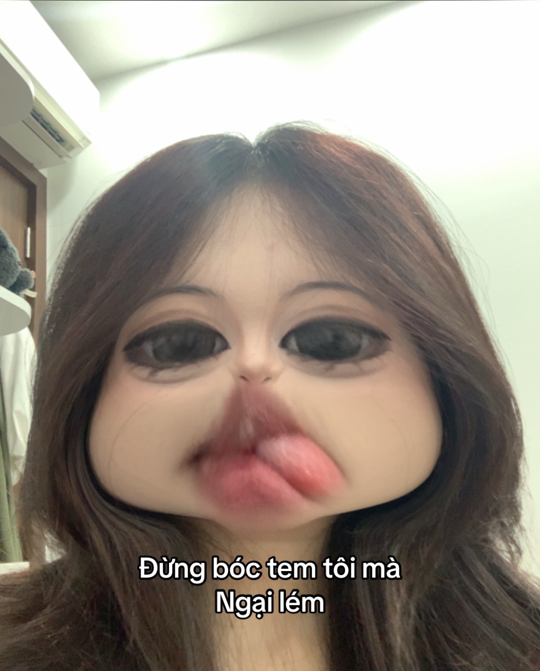@em Nhím🦔