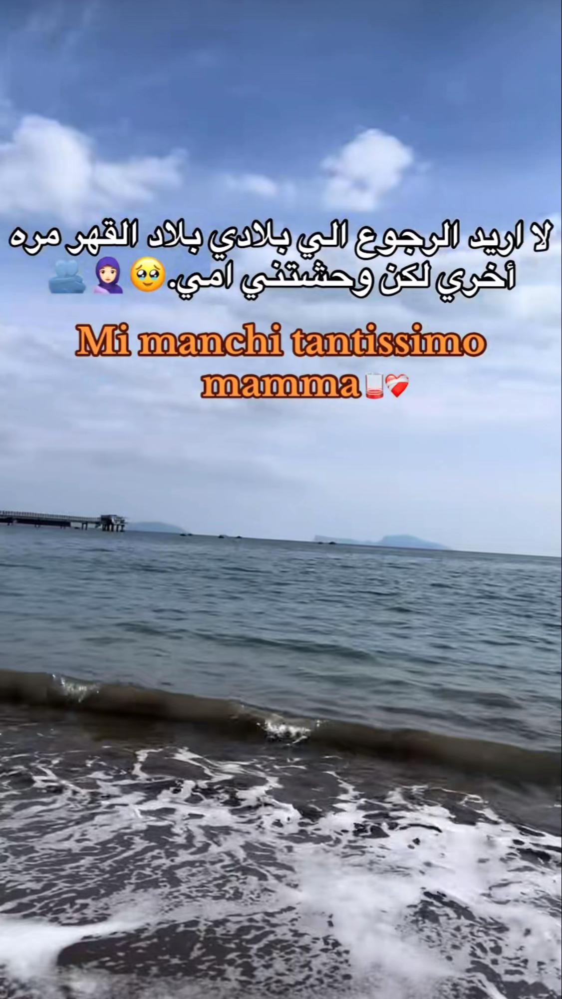 @{811≈ المهاجر♾️🥷🏽🇸🇾}