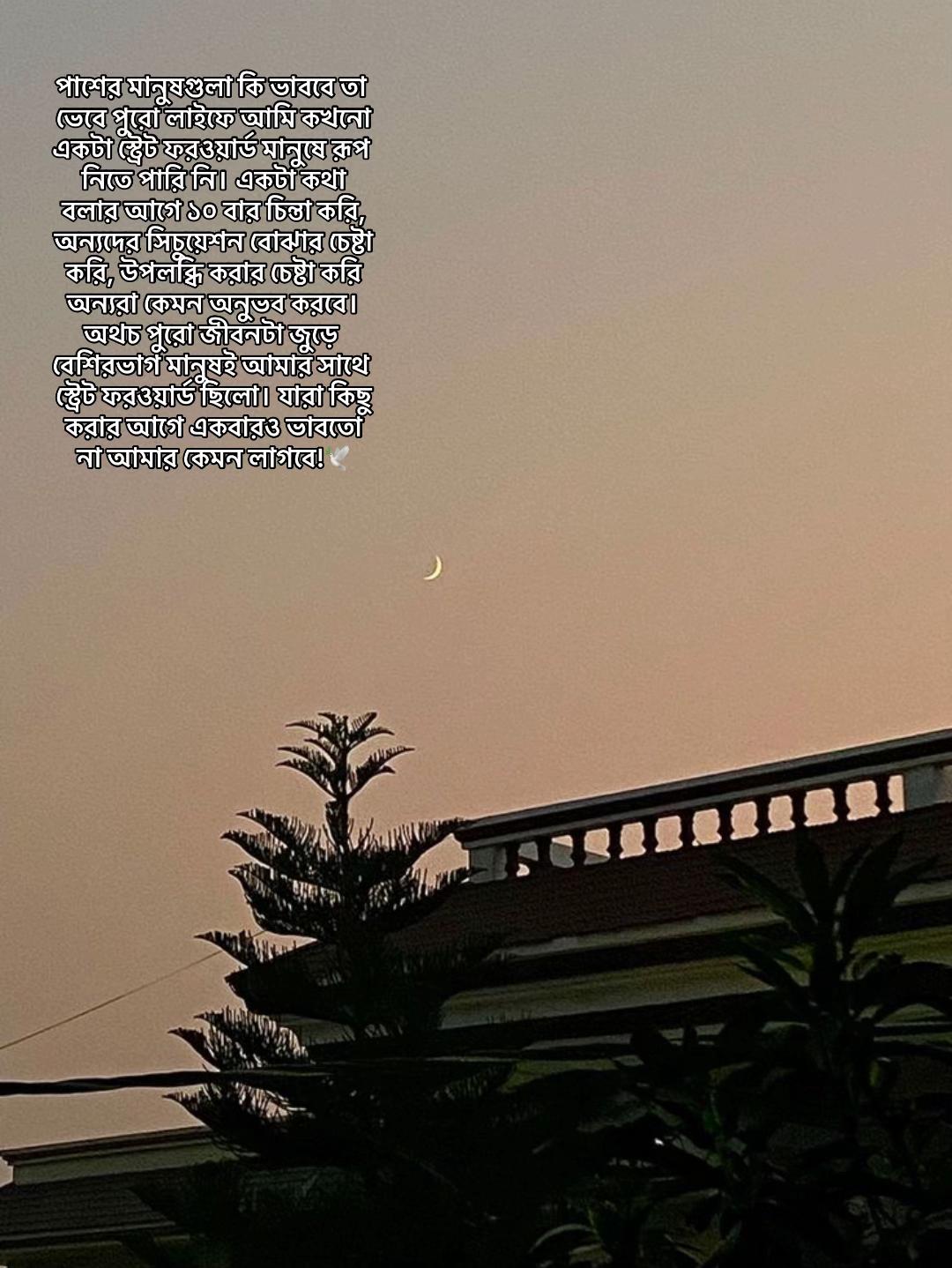 @Taisha/🌪️