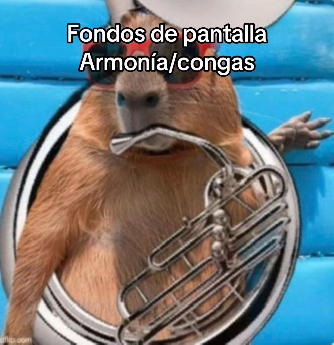 @Maestro_Tuba1