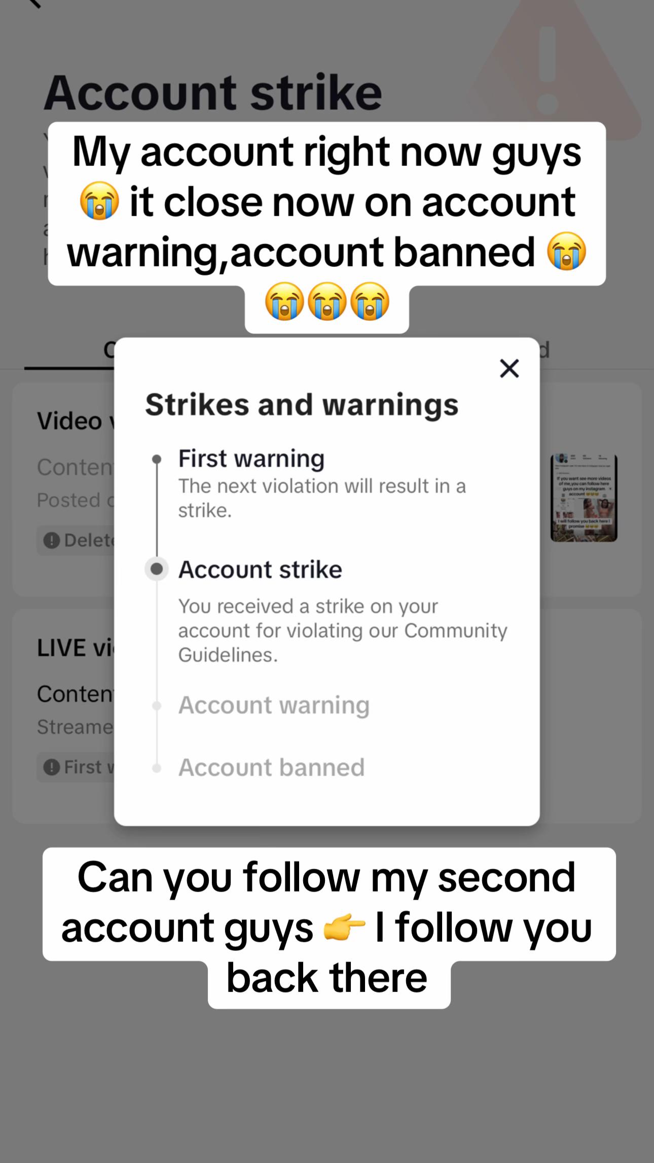 @melodieast20