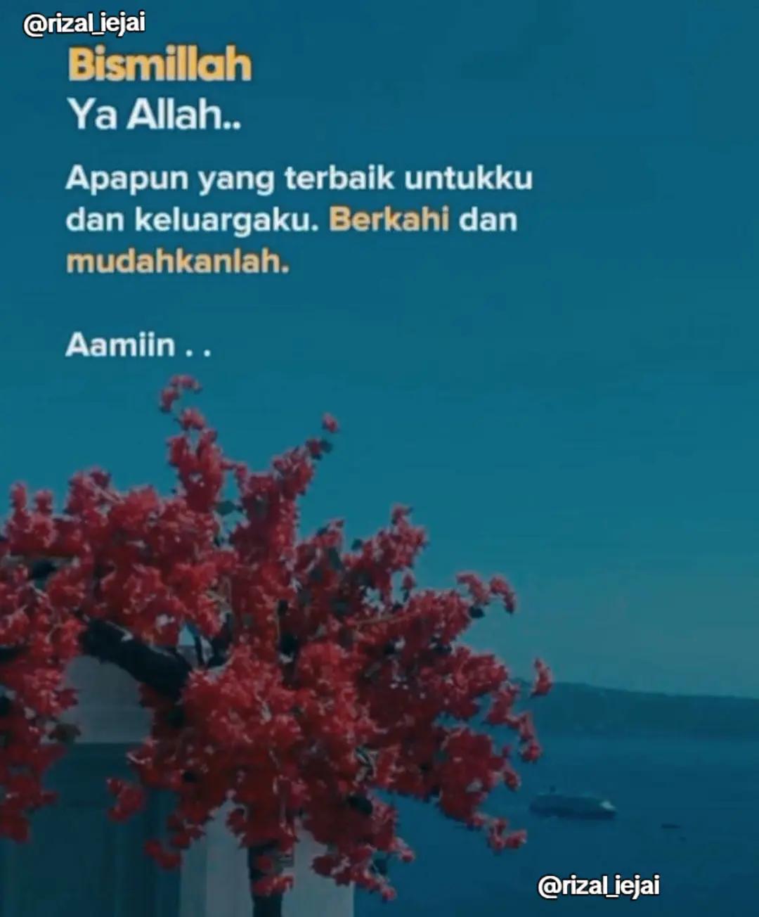 @iejai