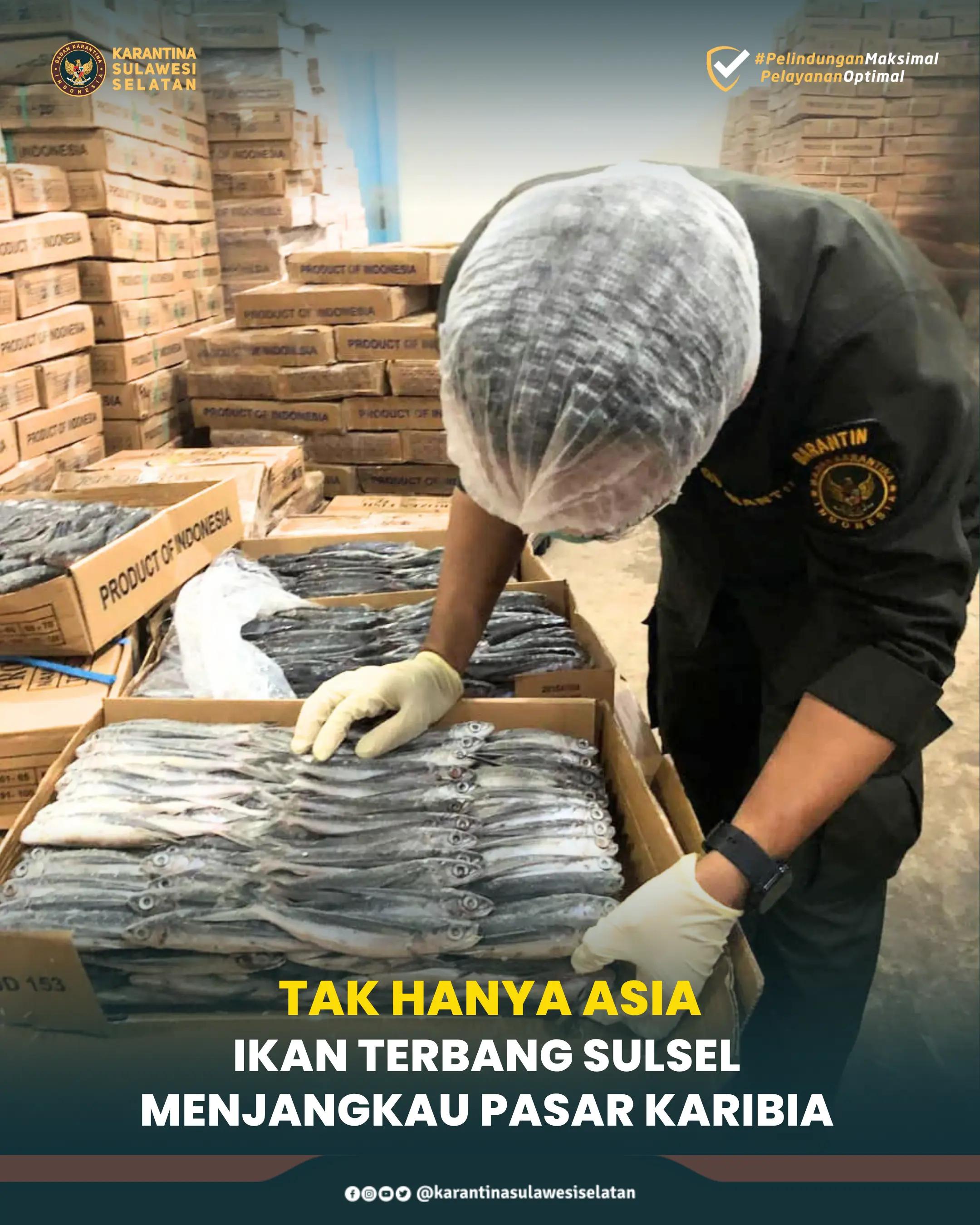 @Karantina Sulawesi Selatan