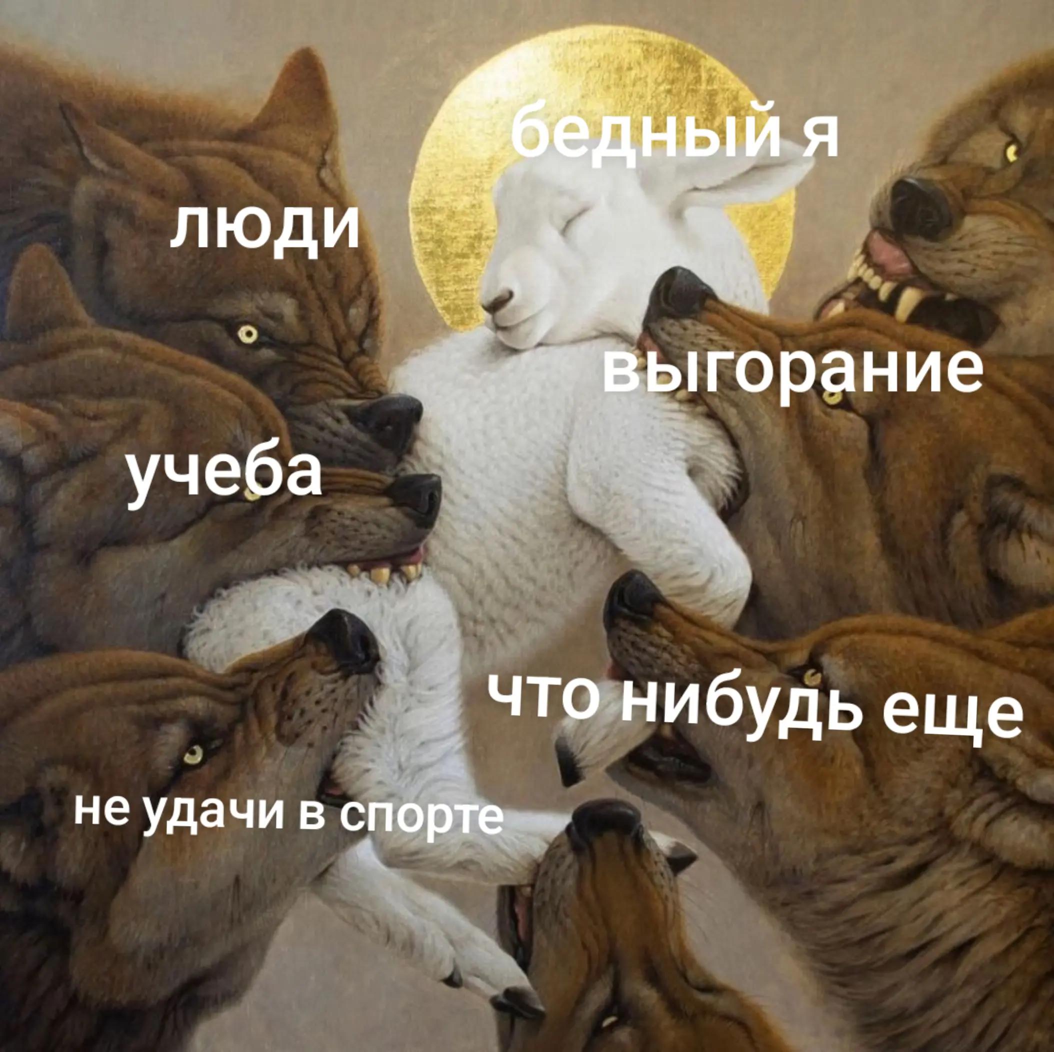 @Сергей_Мыльников#фан шгш