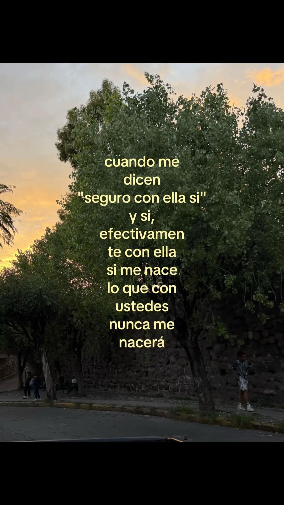 @(W"versi&oacute;n🥺💙🌷)