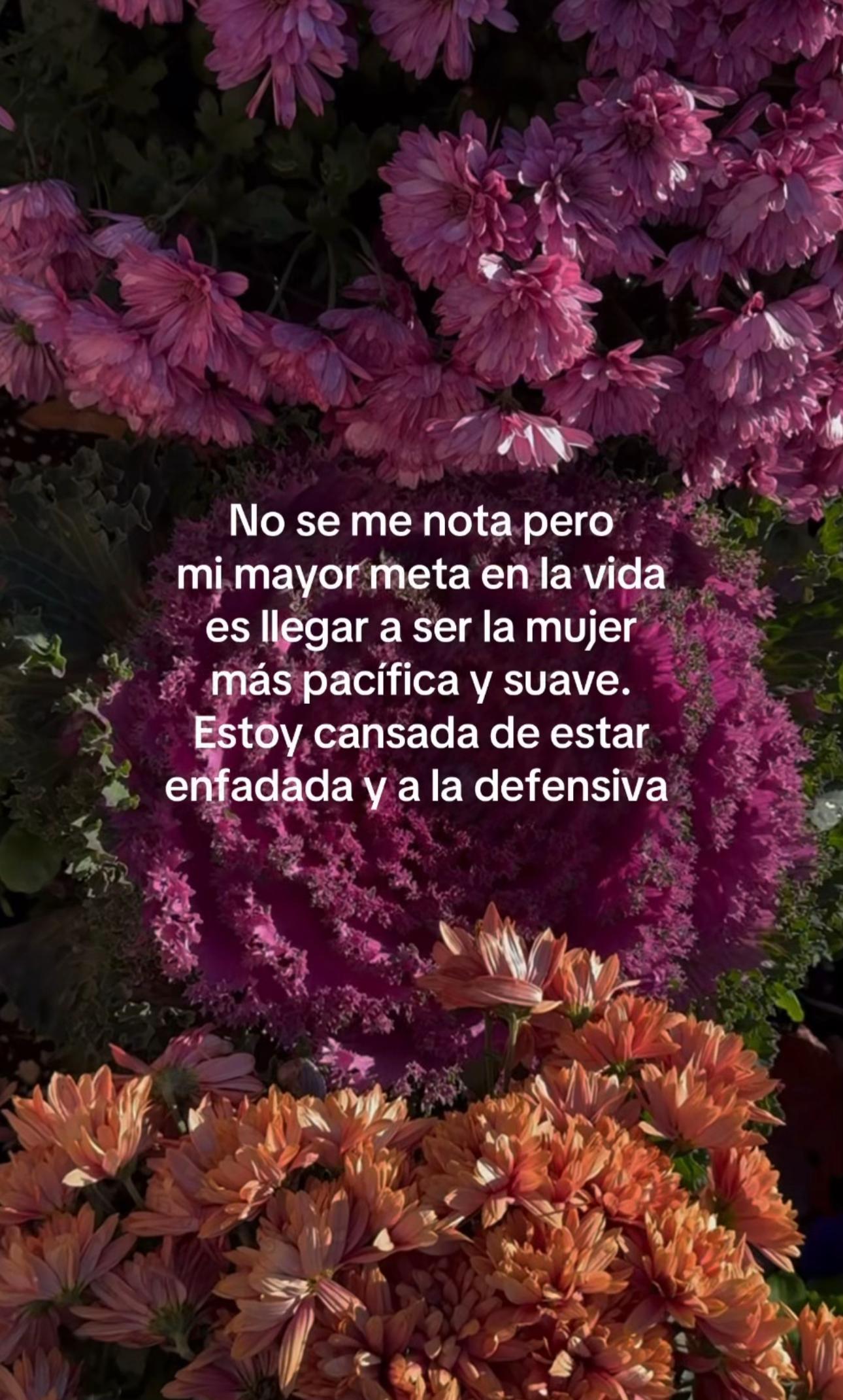 @Moka Morales