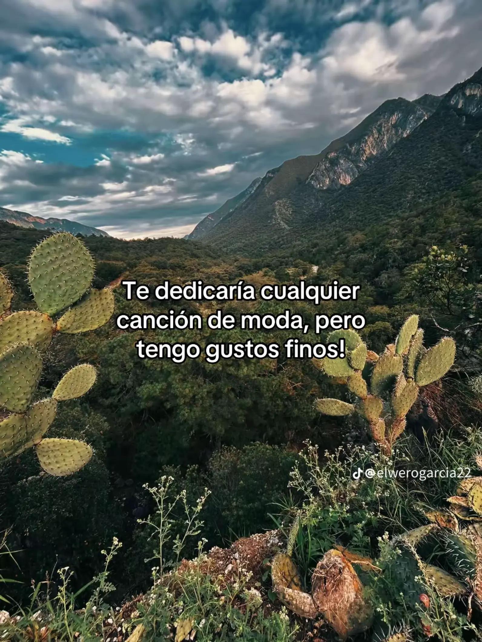@Pedro Guerrero