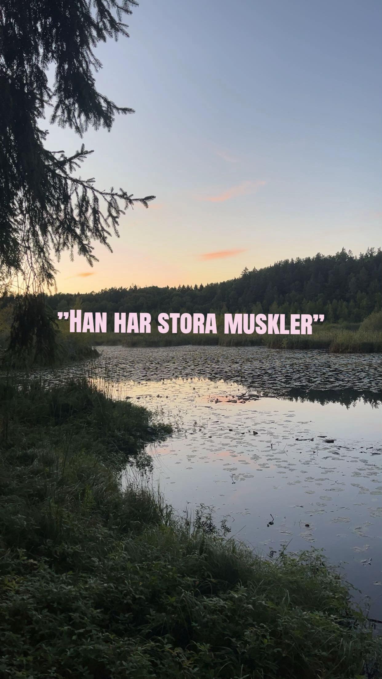 @Stella