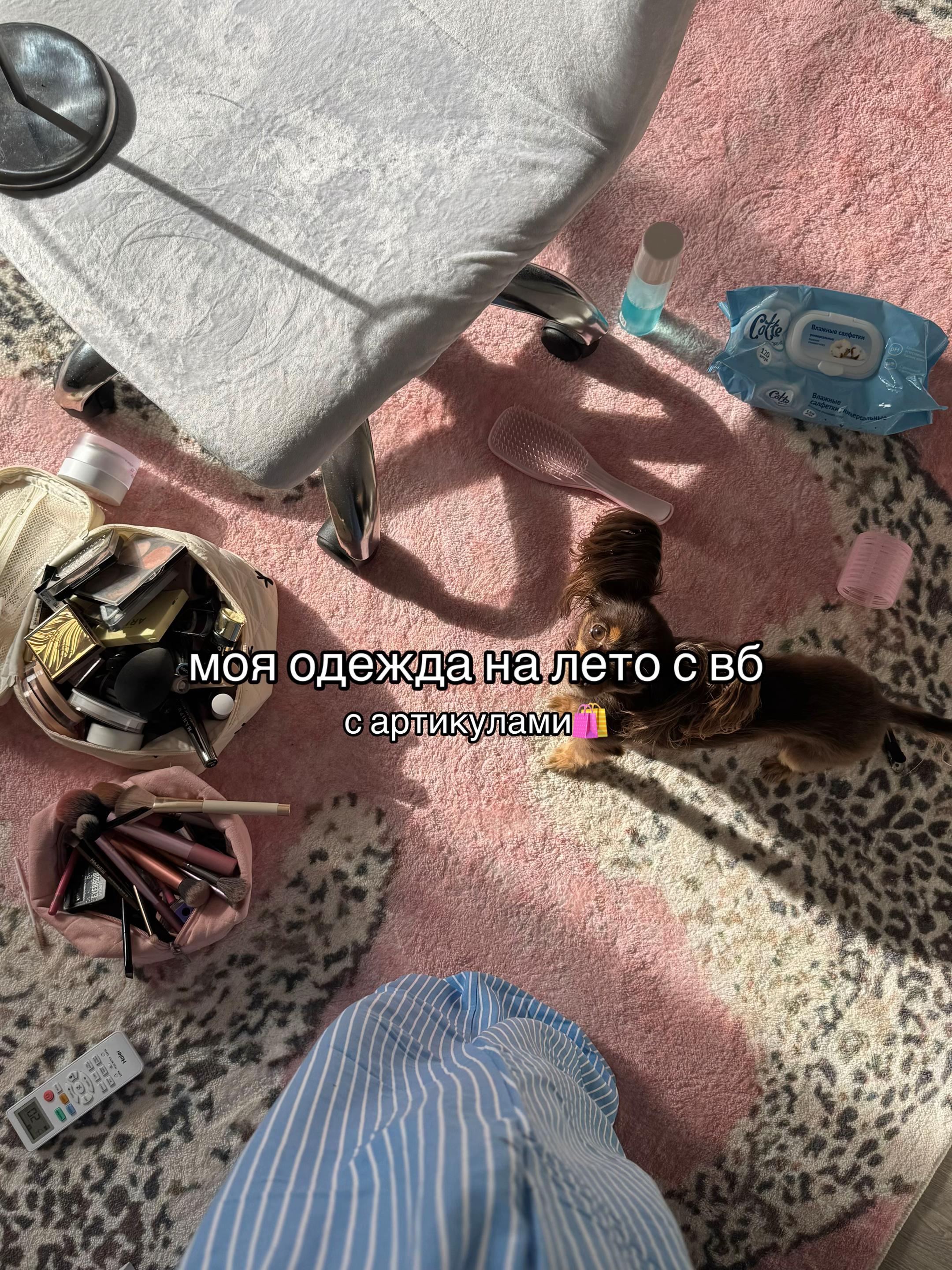@лера вайфьюк ۶ৎ