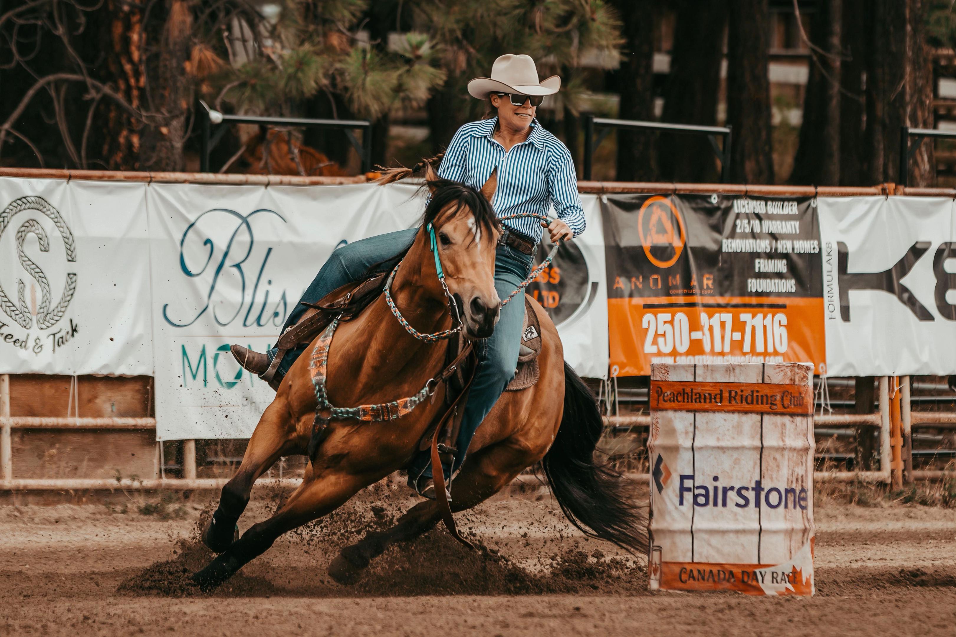 @Diamond W Barrel Horses 🇨🇦