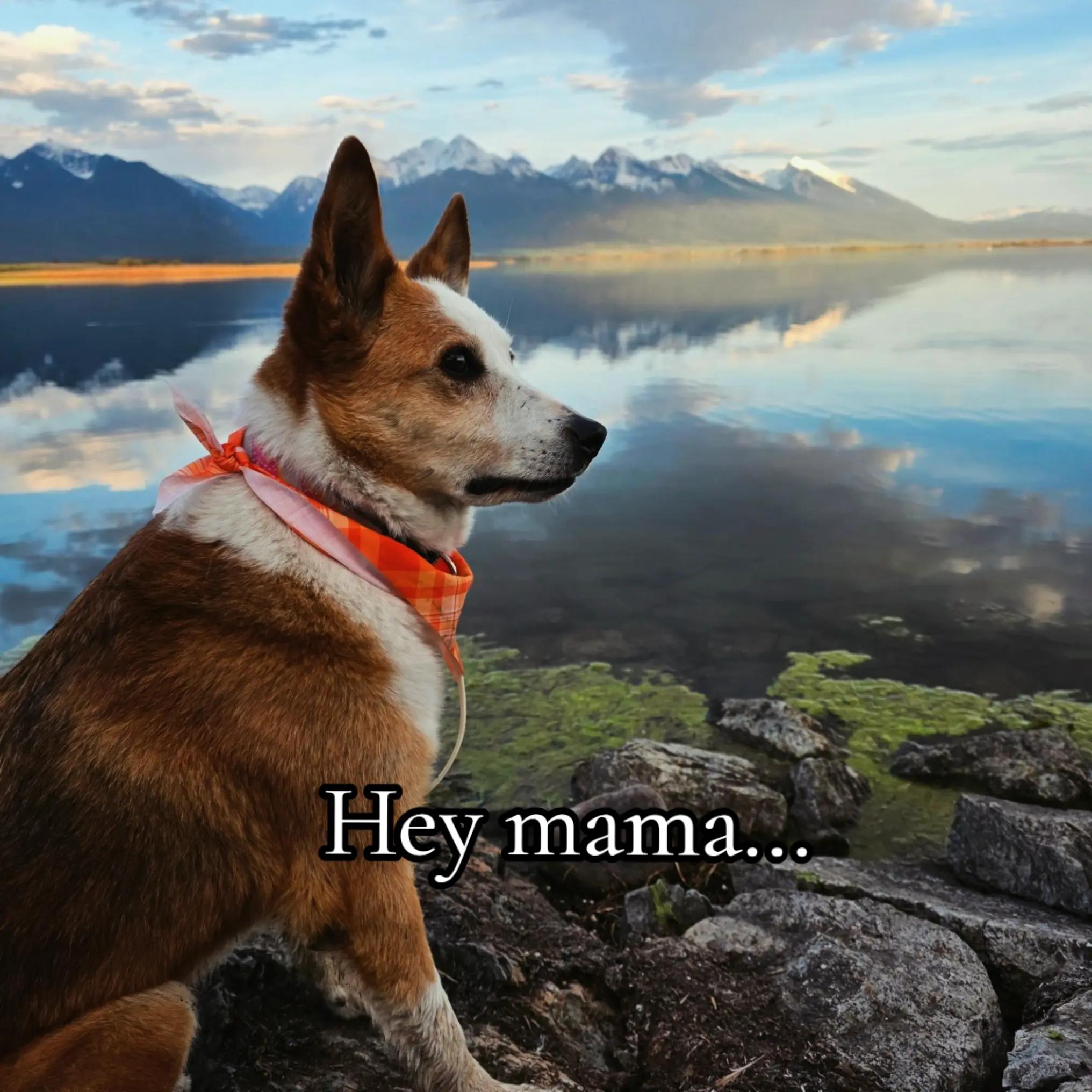 @Dani
