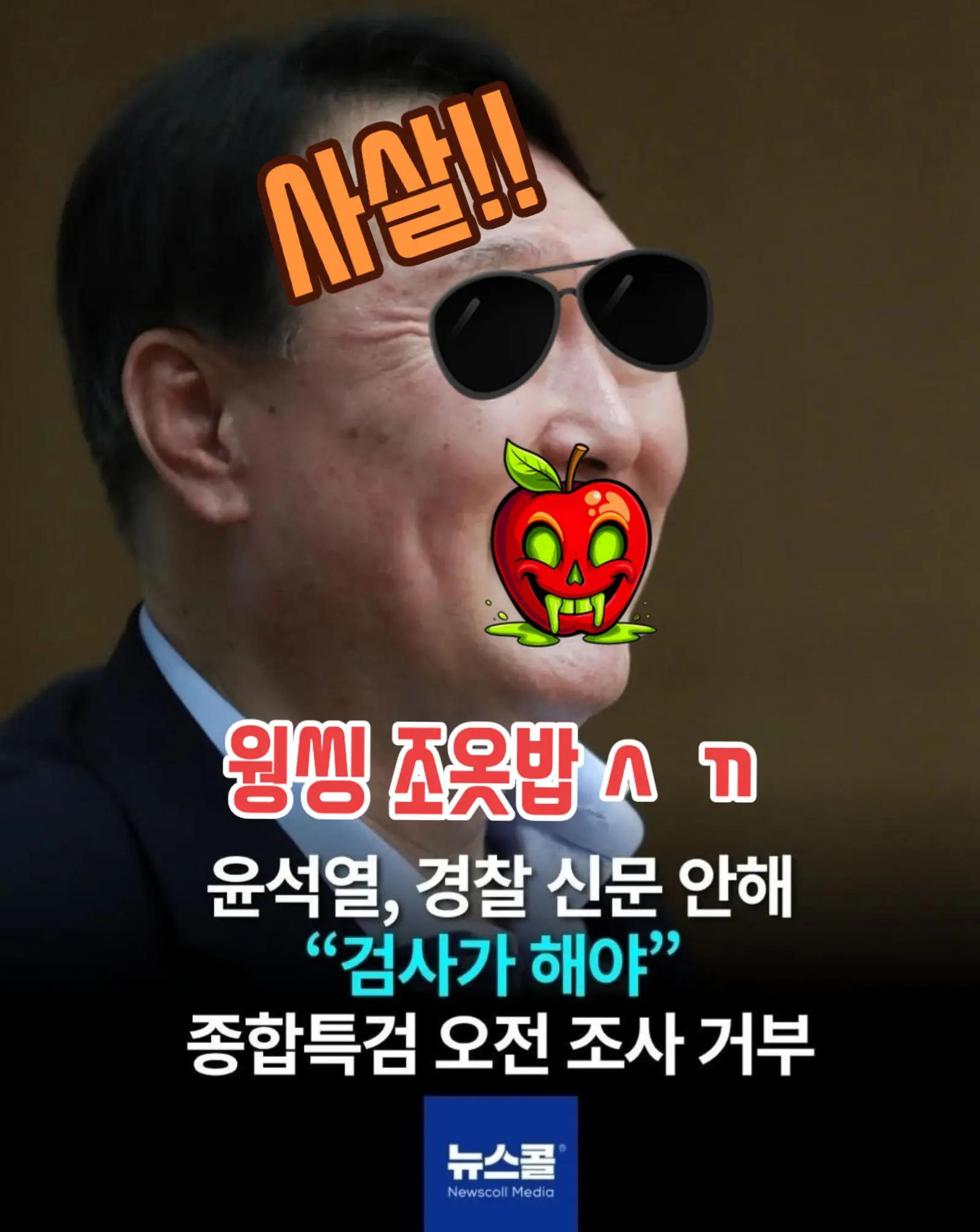 @🌺시라소니[본]🌺