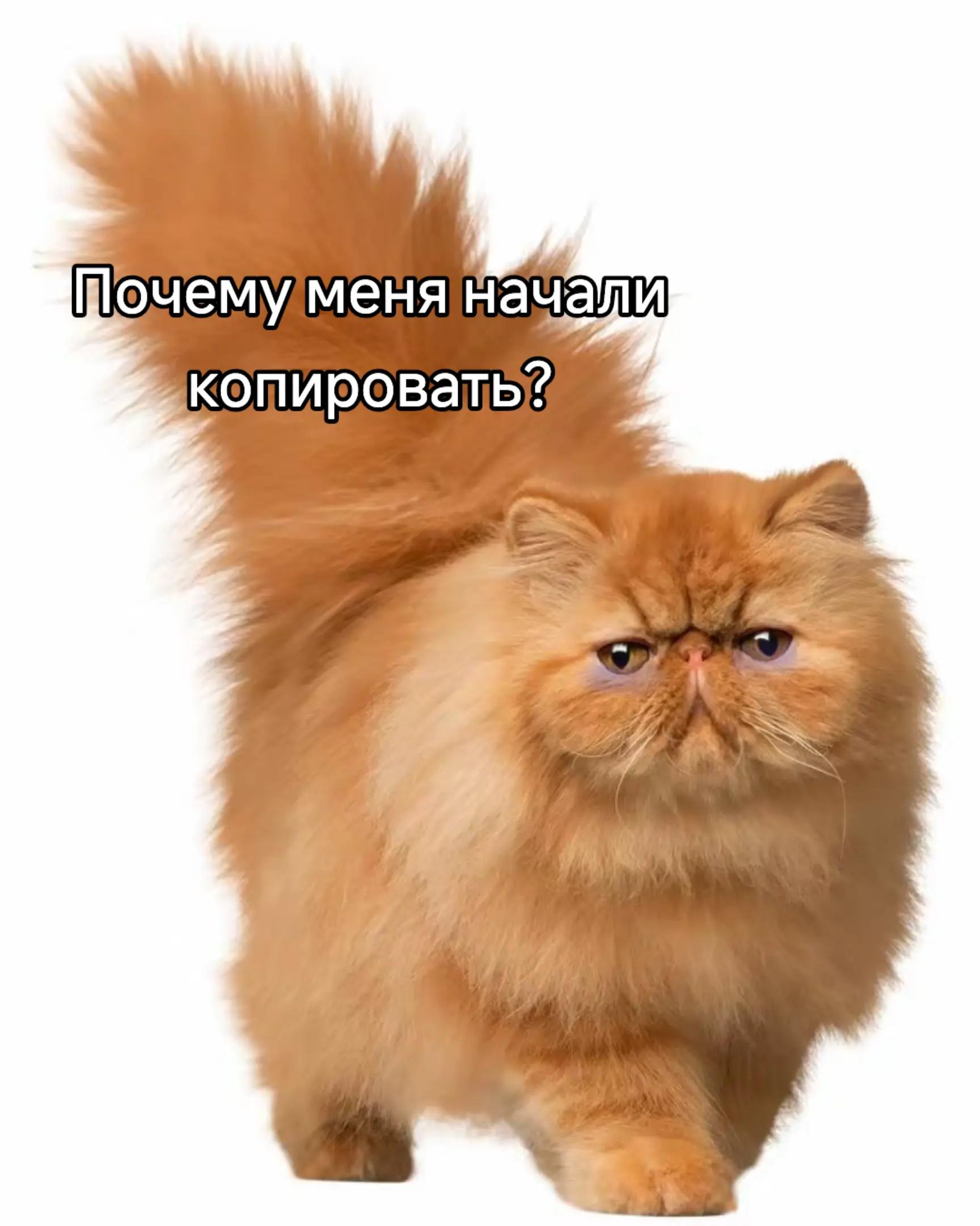 @EeehBlyaat
