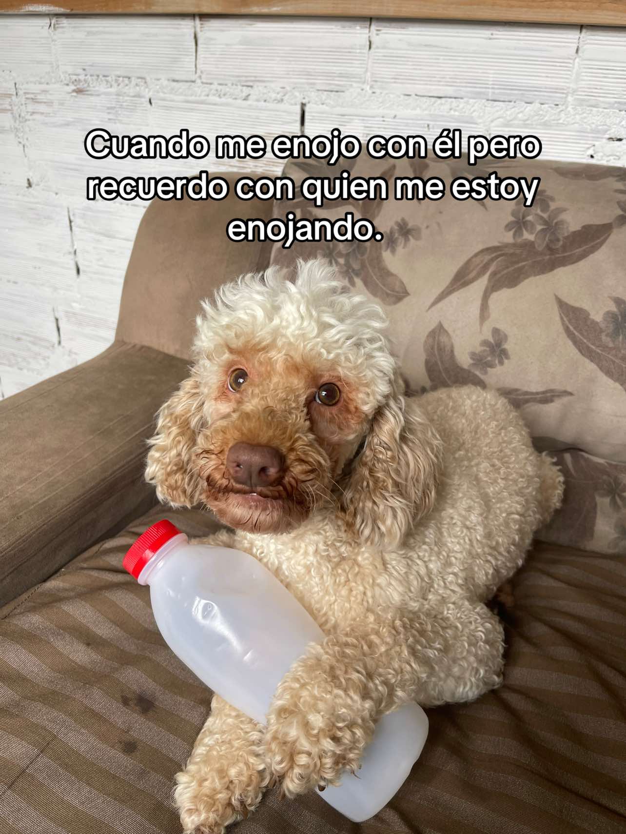 @elixxir_