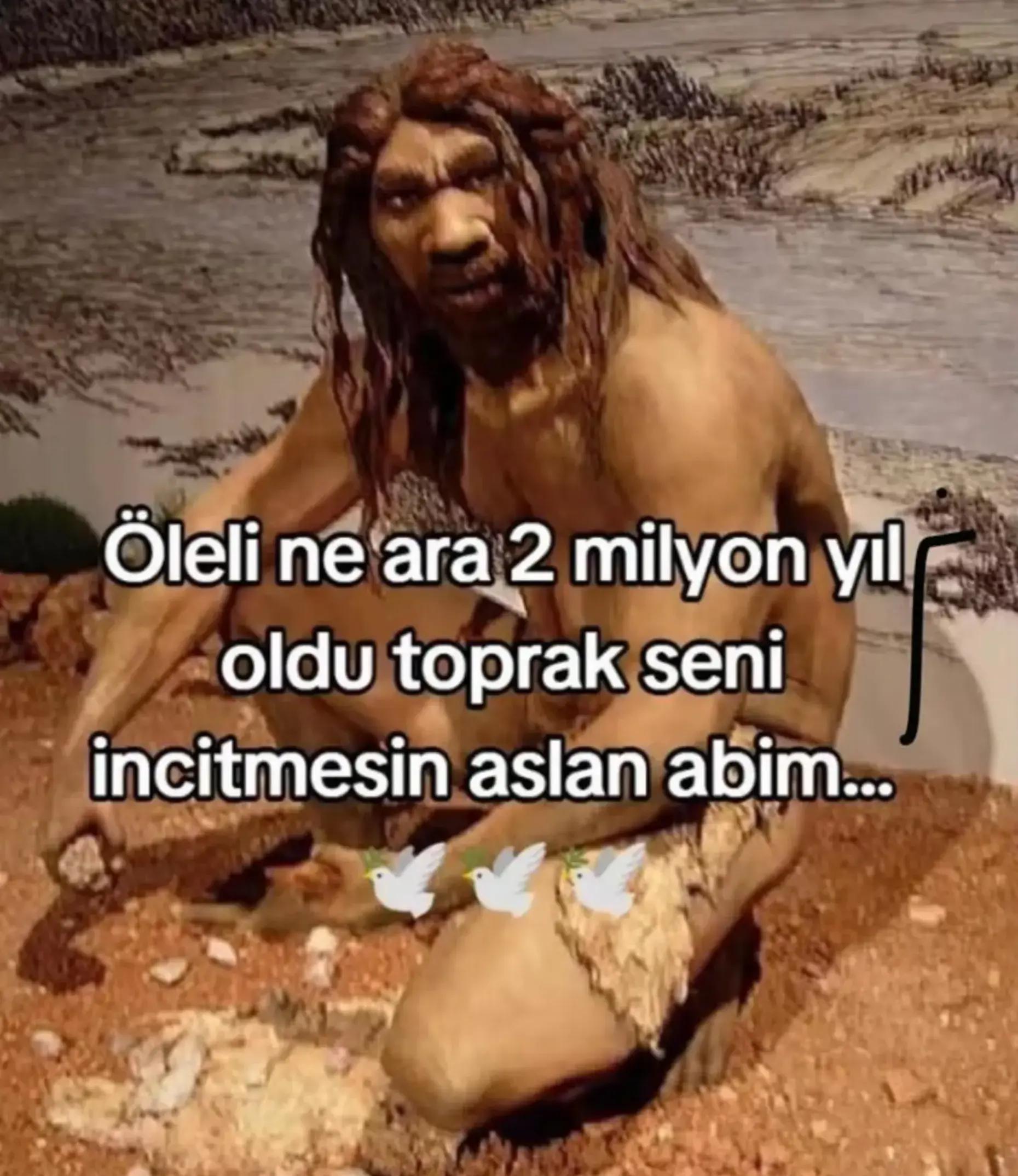 @H.A
