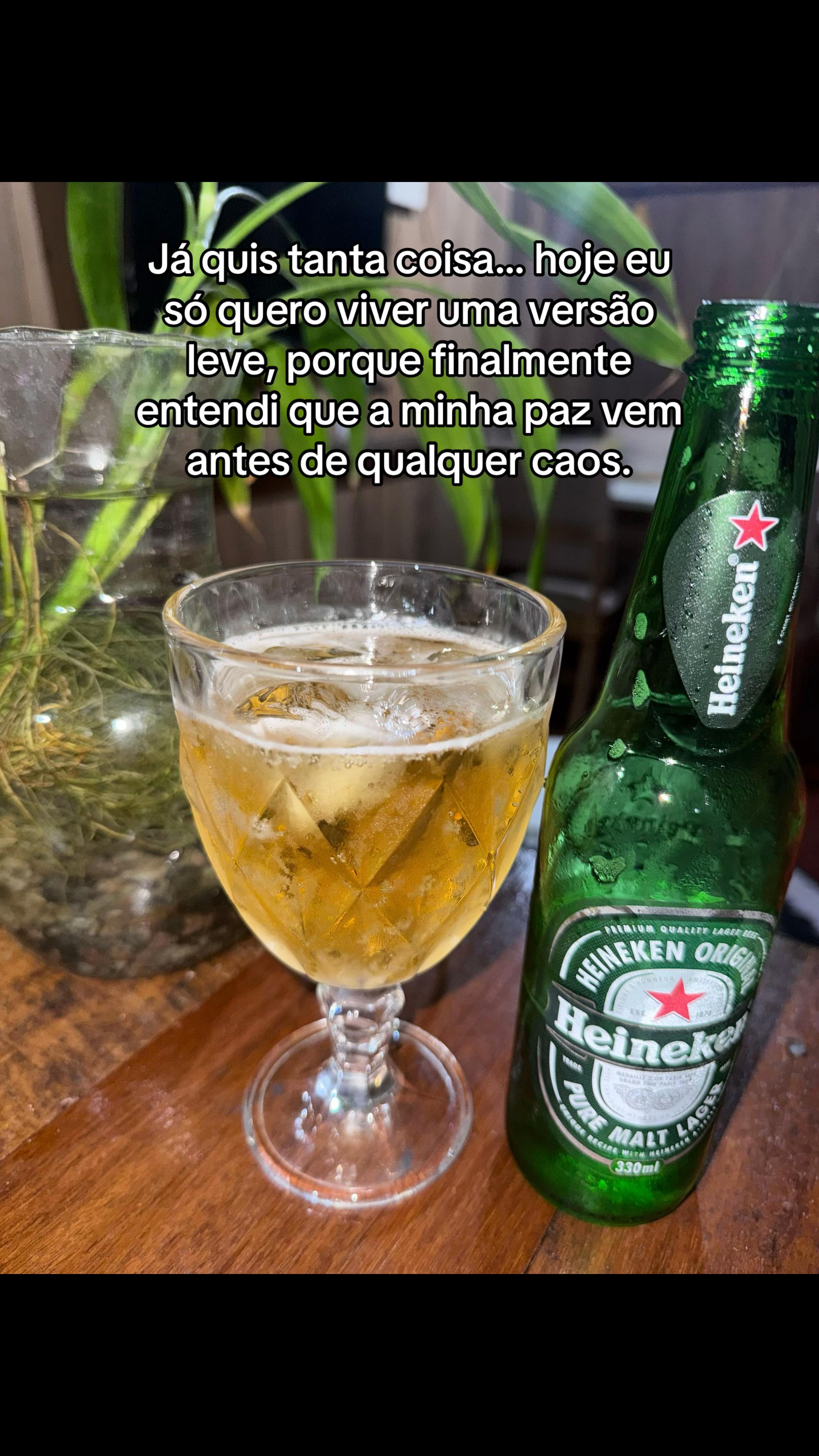 @Danii Melo✨🇧🇷